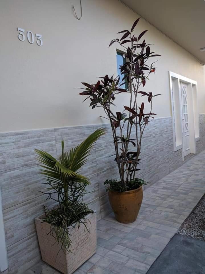 Florianópolis Casa De Praia Nunez מראה חיצוני תמונה